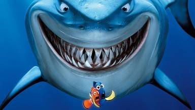 Cape Town Loan Sharks